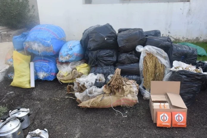 saisie-drogue-alcool-Souk-El-Arbaa1